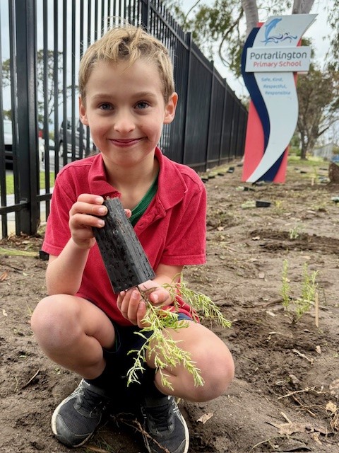 /uploaded_files/media/gallery/1753929004Planting 6.jpg